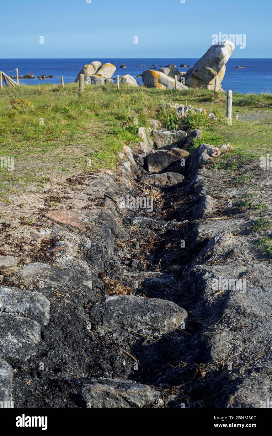 Forno all'aperto per bruciare le alghe marine come parte del processo di produzione di iodio, Menez Hom lungo la costa di Kerlouan, Finistère, Britanny, Francia Foto Stock