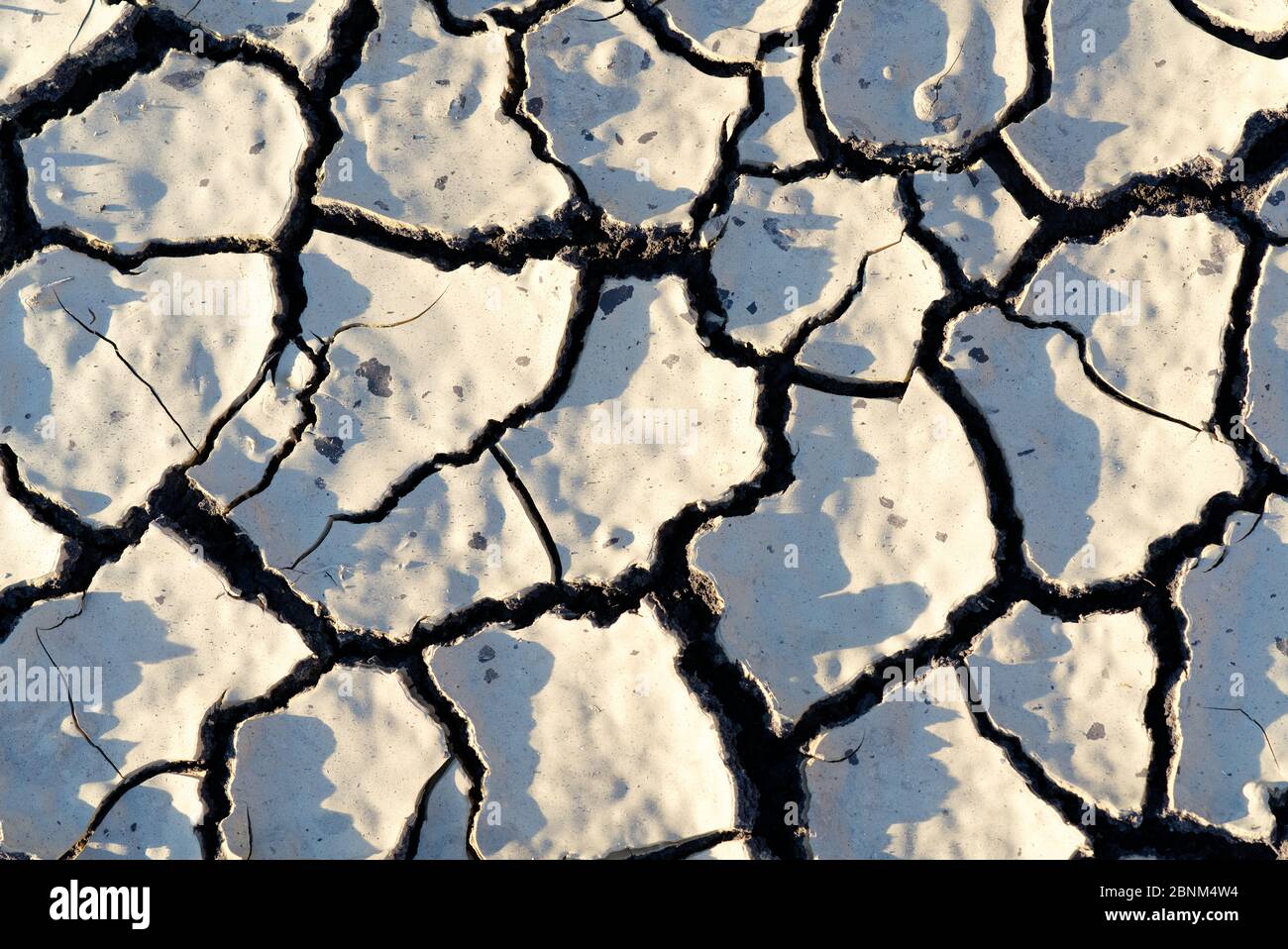 Texture. Grandi crepe sulla superficie della terra. Siccità. Problemi di ecologia. Erosione. Foto Stock