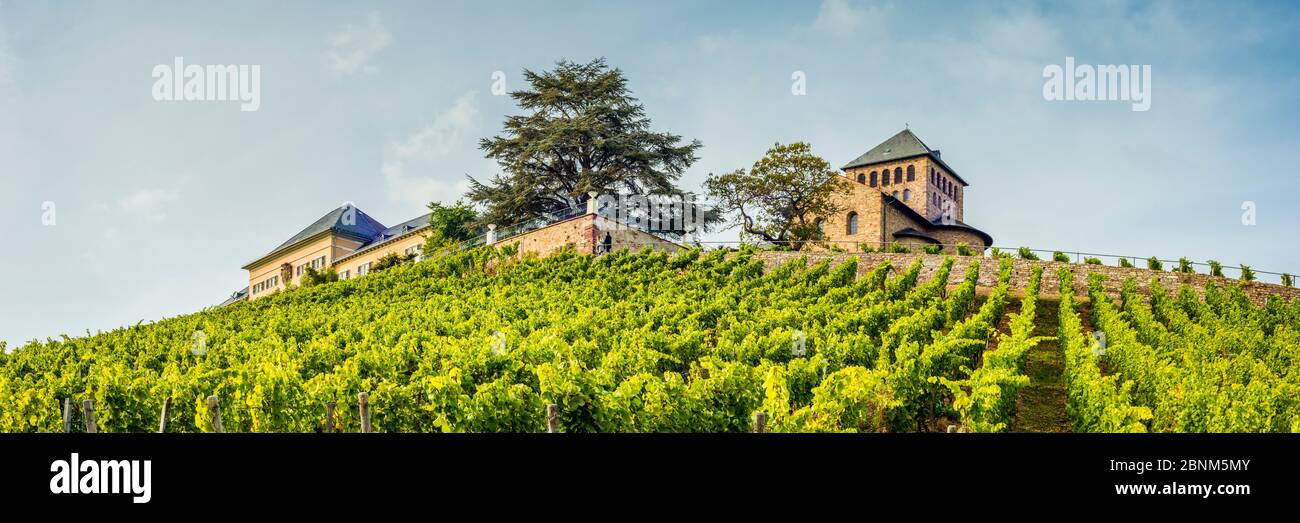 Palazzo Johannisberg nel Rheingau, sede del principe Metternich, il vino di vendemmia tardiva è stato inventato qui, panorama Foto Stock