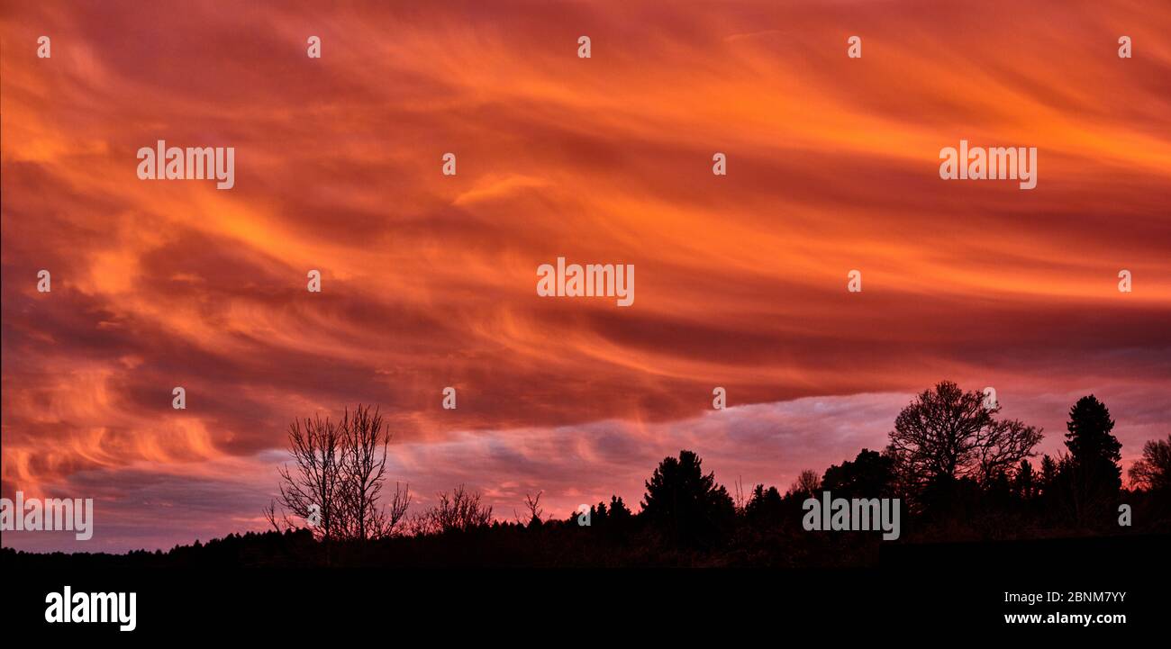 Cielo, nuvole rosse, foresta, silhouette, Foto Stock