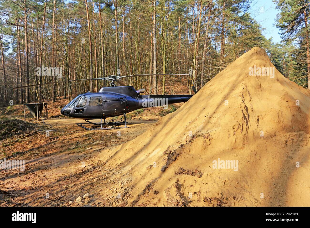 Limatura forestale in elicottero, Treviri, Renania-Palatinato, Germania Foto Stock