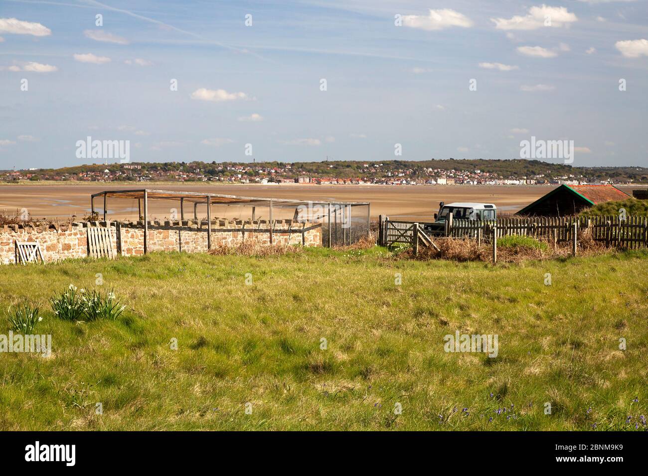 Trappola per uccelli Foto stock - Alamy