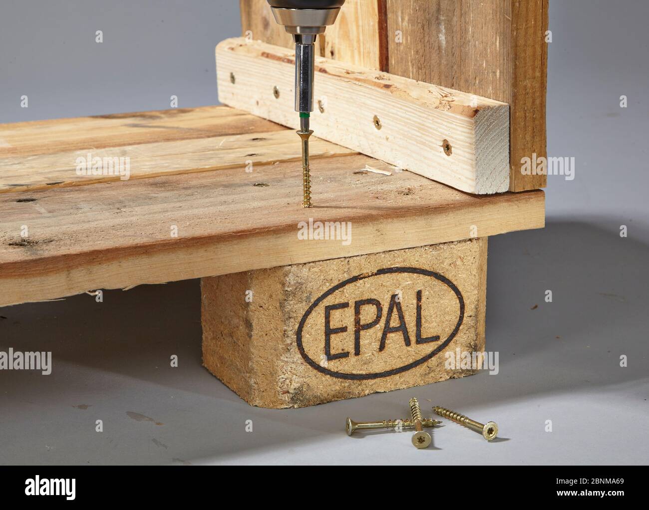 Costruzione di un ripiano in legno, Europallet, legno massiccio, MDF; produzione fai da te, passo passo, passo 6b: Avvitamento dei blocchi con il cacciavite cordless e viti per legno Foto Stock