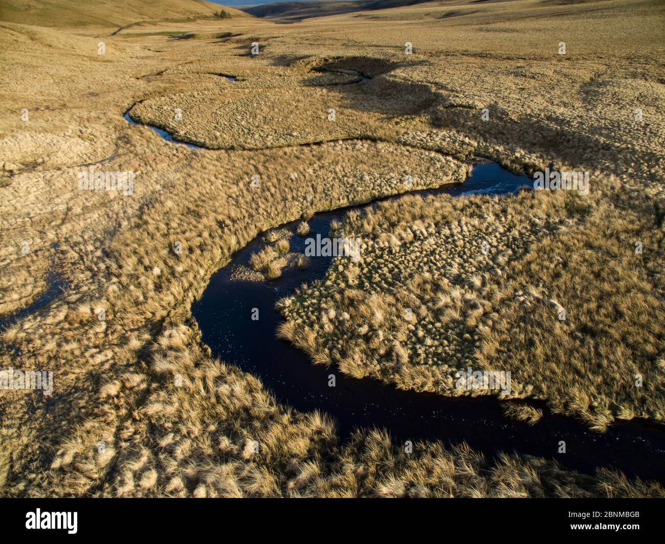 Si snoda sul fiume / Afon Elan, mostrando incisi terrazza vicino Rhayader, Wales, Regno Unito Aprile Foto Stock