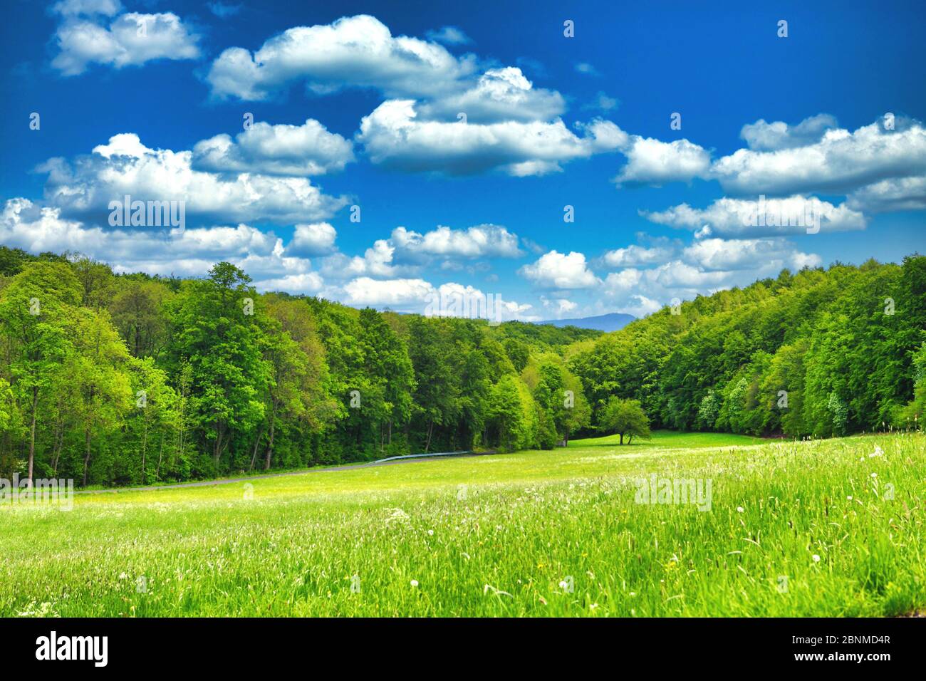 vista panoramica su campi verdi e prati con cielo blu nuvoloso Foto Stock