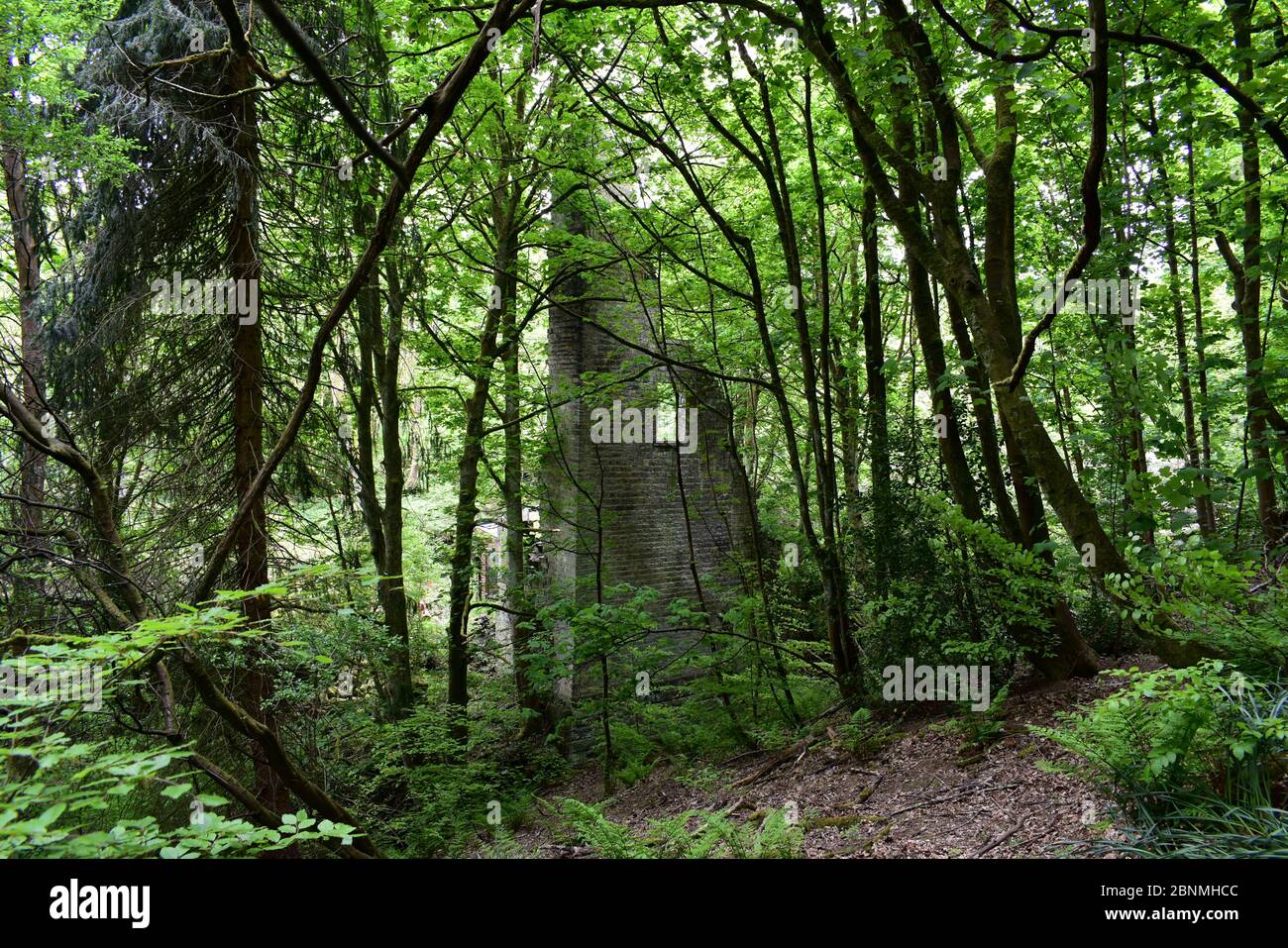 Resti di Lumb Mill un ex mulino tessile ormai abbandonato in rovina. Foto Stock