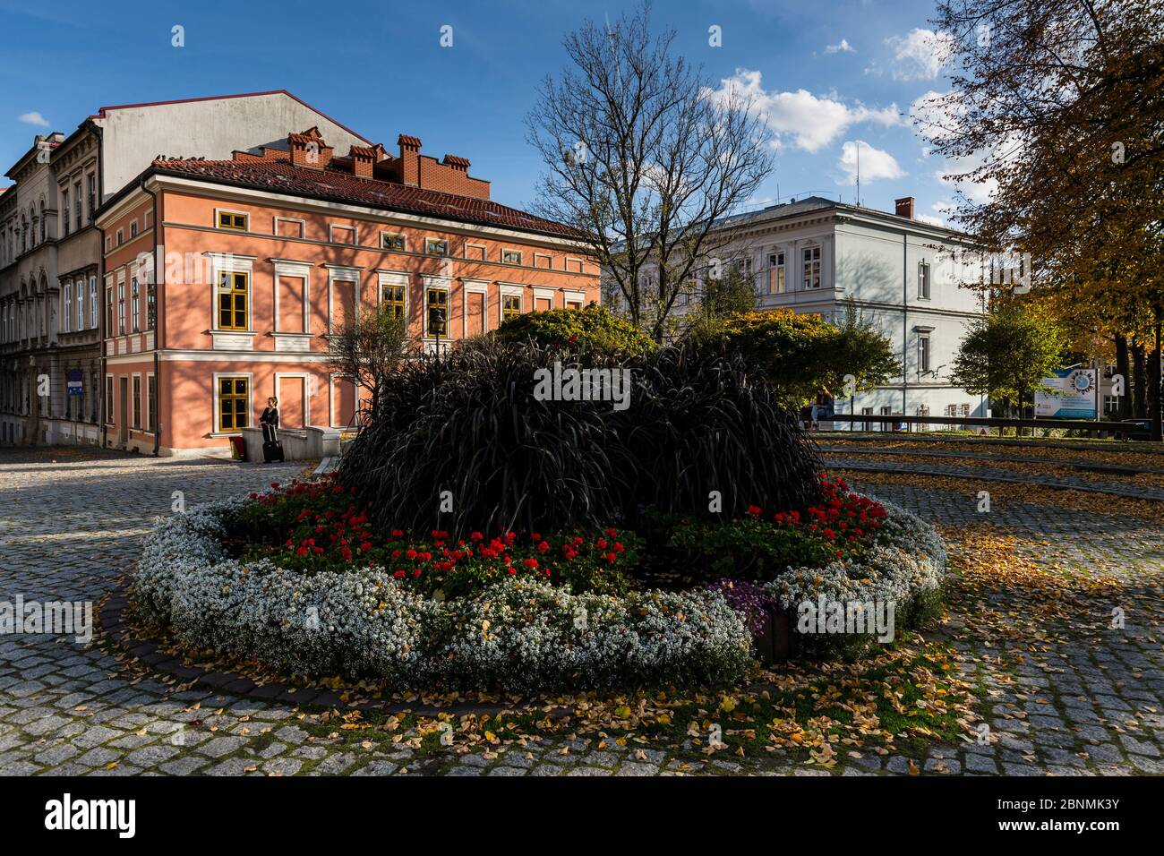 Europa, Polonia, Voivodato silesiano, Bielsko - Biala Foto Stock