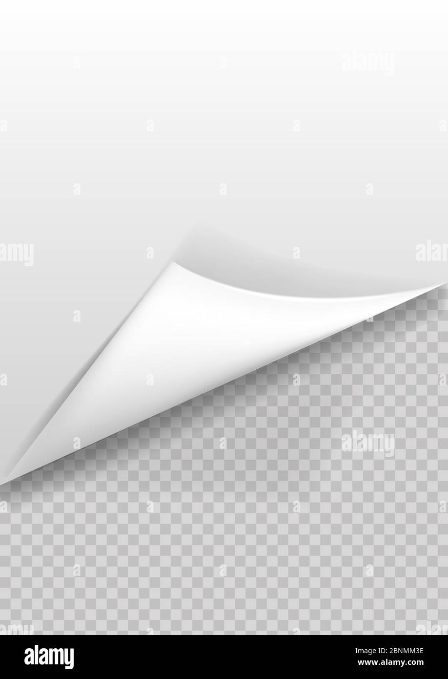 Arricciatura della pagina con ombreggiatura su un foglio di carta vuoto. Adesivo di carta bianca. Illustrazione Vettoriale