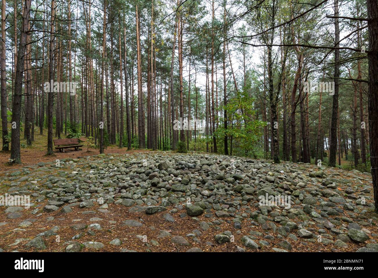 Europa, Polonia, Pomerania, Kashubia / Kaschubei - circoli megalitici in pietra Foto Stock