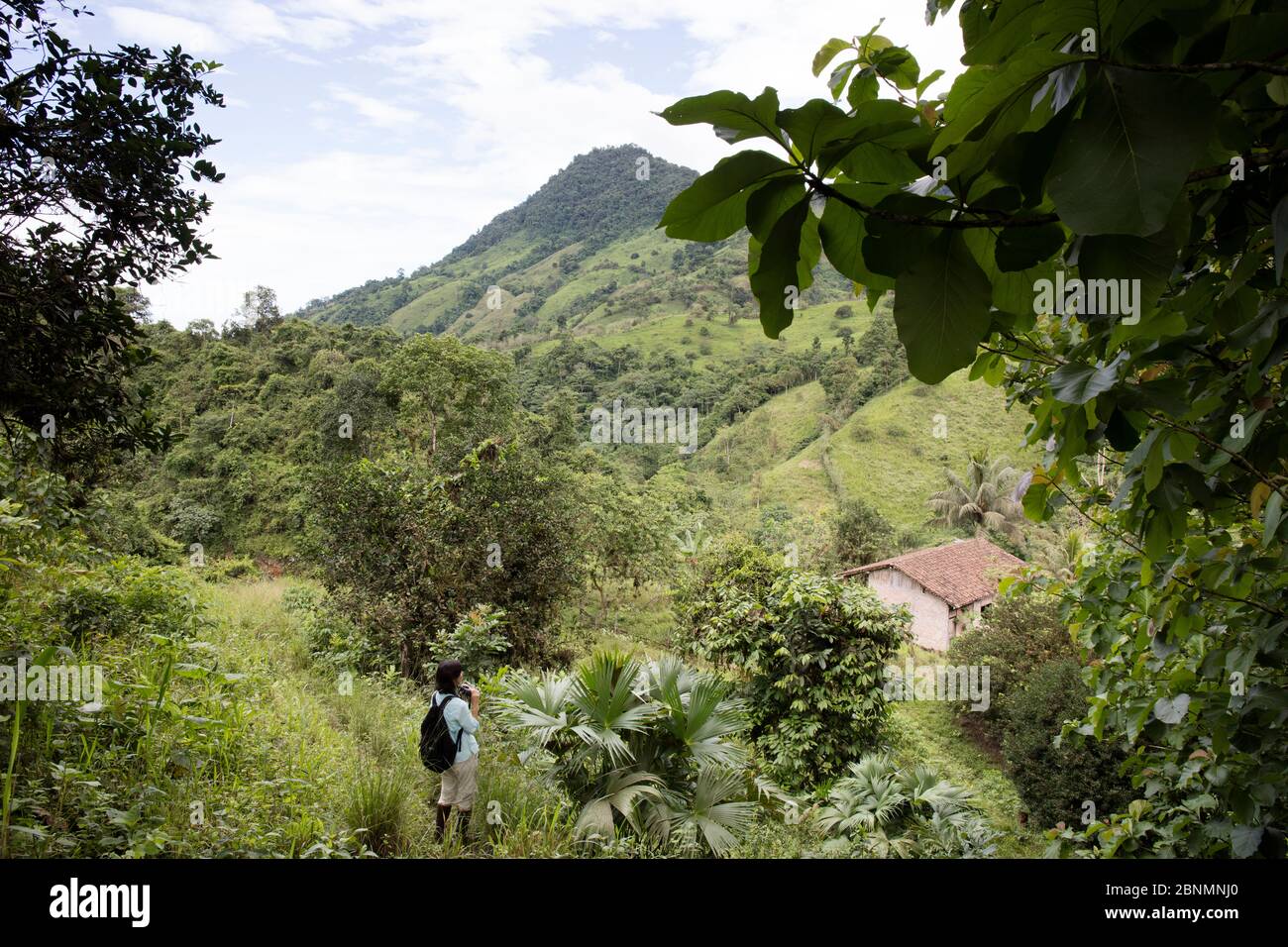 Fattoria e fattoria, appena fuori della riserva biologica Buenaventura, Provincia El Oro, Ecuador Foto Stock