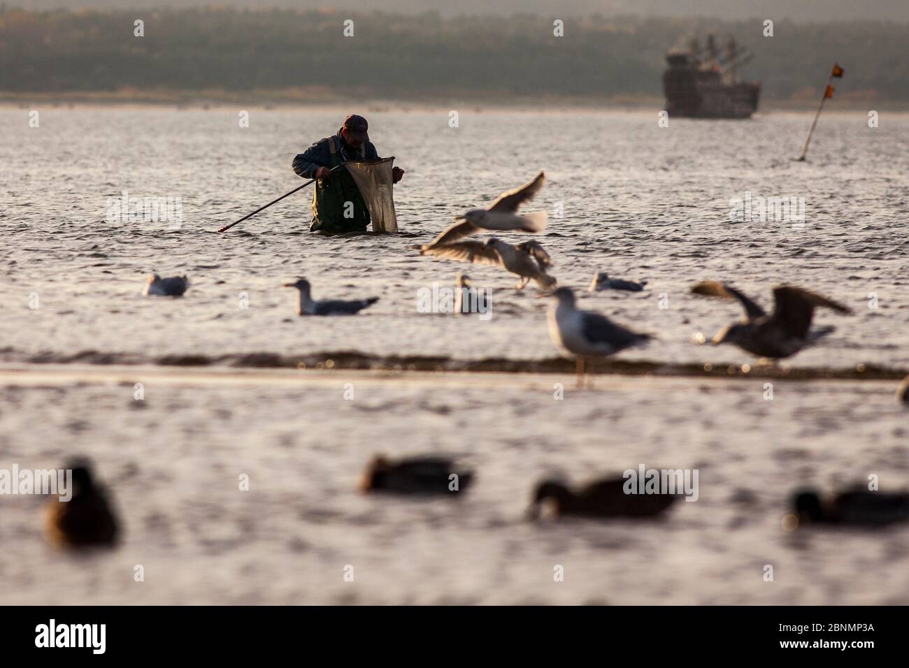 Europa, Polonia, Voivodato Pomeraniano occidentale, Swinoujscie / Swinemünde Foto Stock