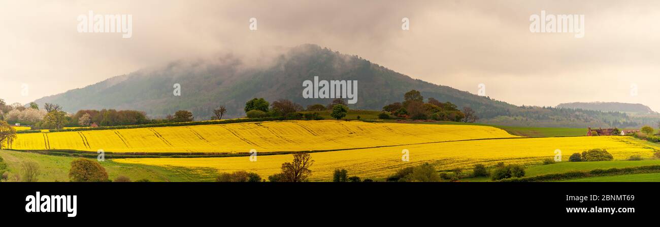 Il Wrekin, Shropshire, Inghilterra Foto Stock