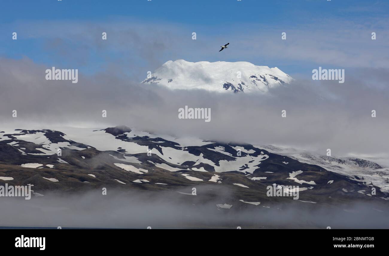 Mt. Beerenberg, 2277m. Il mondo più settentrionali del vulcano attivo. Isola di Jan Mayen, luglio 2016. Foto Stock