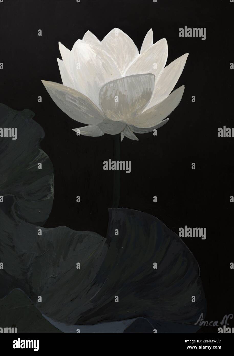 Disegno di fiori di loto Foto Stock