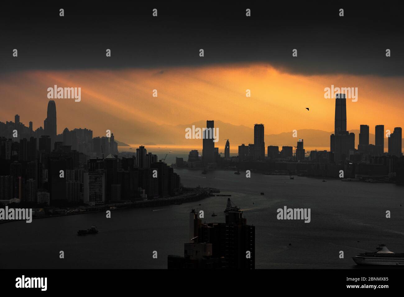 Asia, Cina, Hong Kong, Hong Kong Island, Kowloon, Victoria Harbour Foto Stock