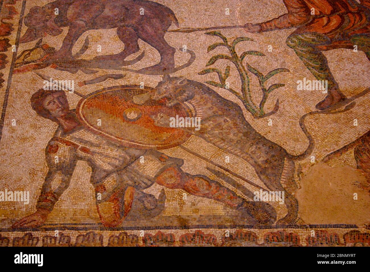 Mosaico dell'Oecus Caceria mosaico colorato conservato con leopardo che salpano a caccia con scudo Villa Romana di Olmedo Saldaña Palencia Spagna Foto Stock