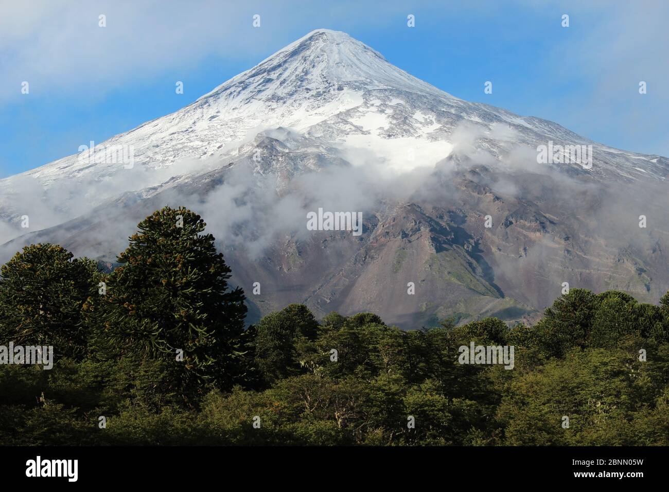 Volcan Lanin (Vulcano Lanin) con una polvere di neve, circondato da bassa nebbia in autunno al confine tra Argentina e Cile nel Lanin e Villarrica Foto Stock
