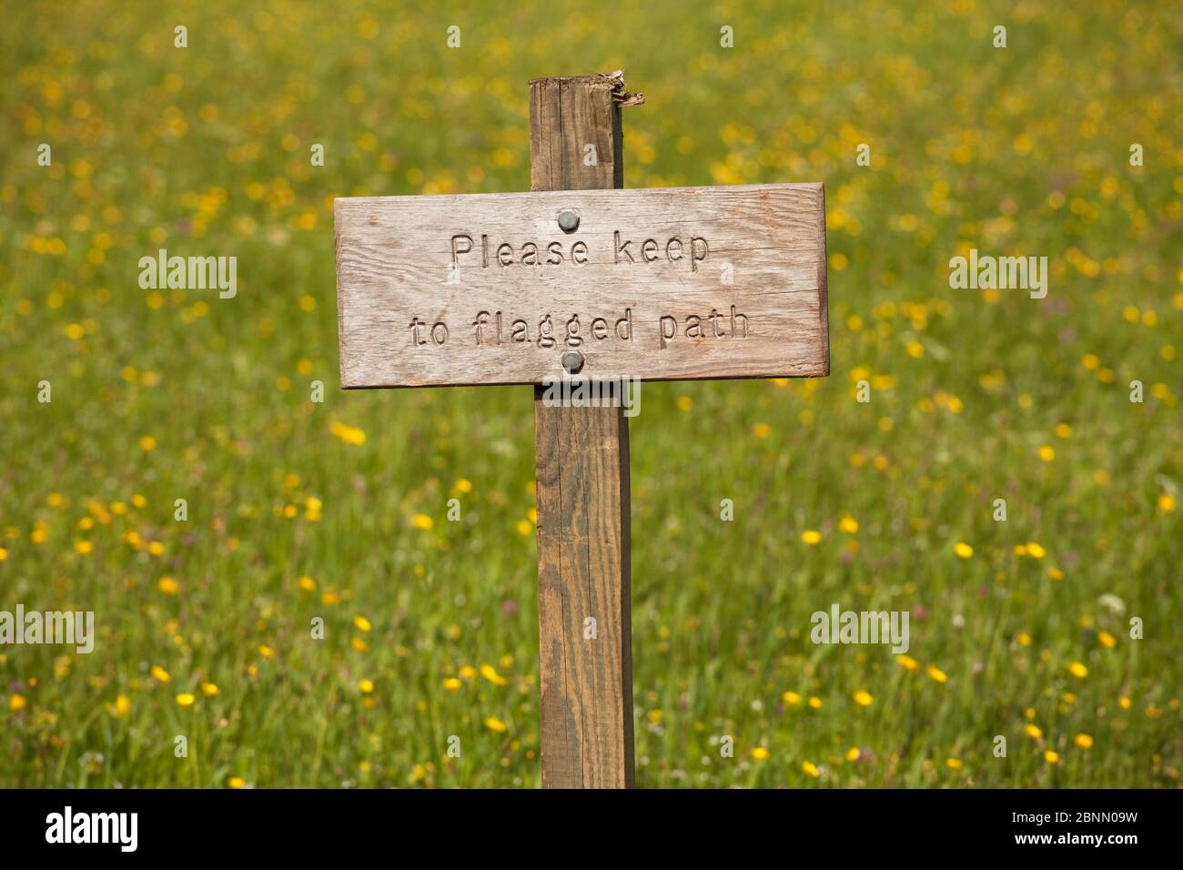 Cartello 'Keep on the path' in un prato vicino Muker a Swaledale, nelle Yorkshire Dales Foto Stock