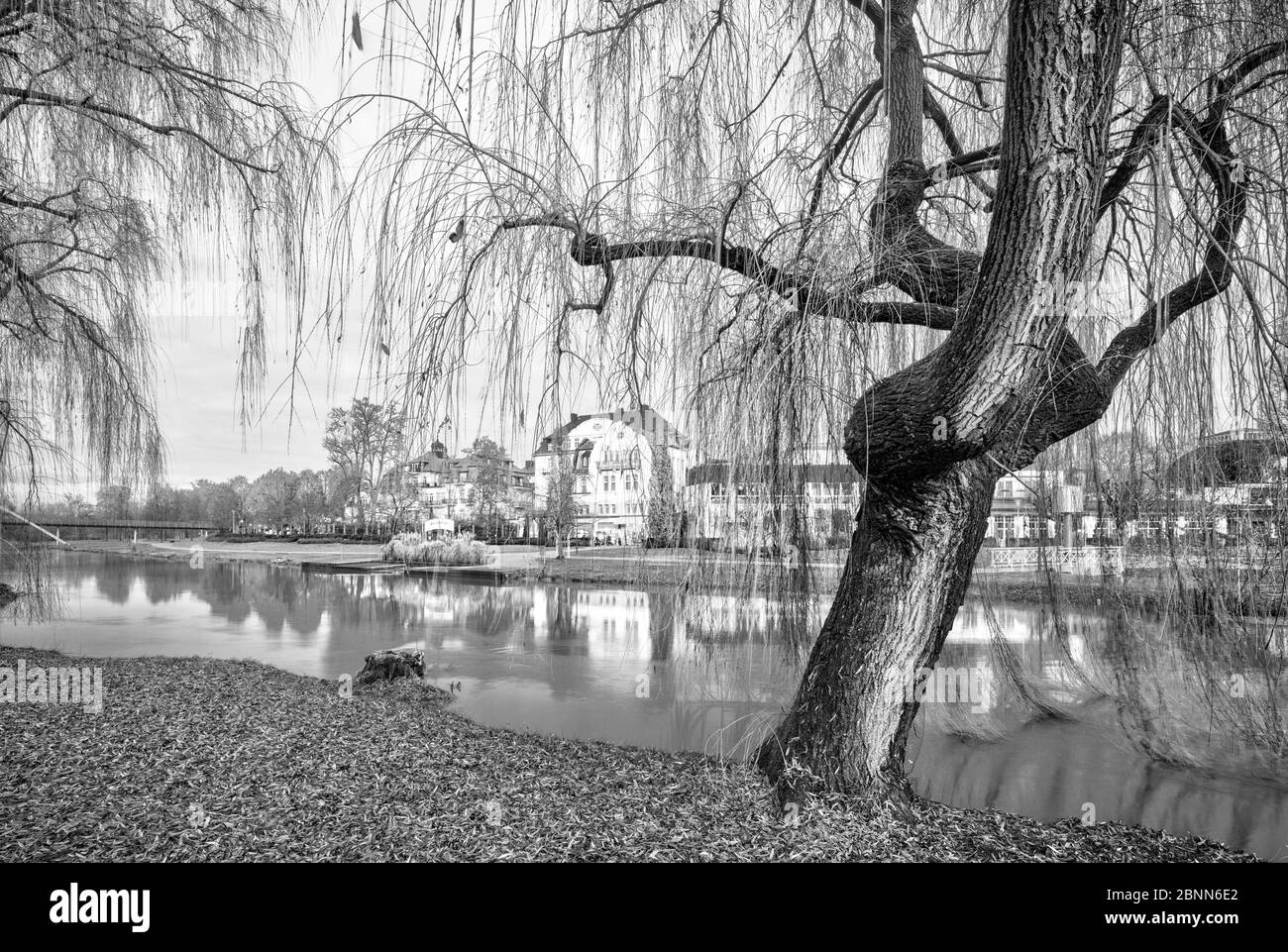 Magia invernale, hotel, residence, giardino di rose, Bad Kissingen, Franconia, Baviera, Germania, Europa Foto Stock