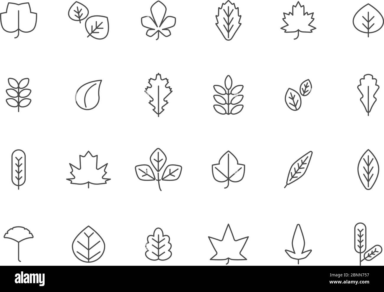 Foglie autunnali lineari. Foglia di autunno linea set Illustrazione Vettoriale