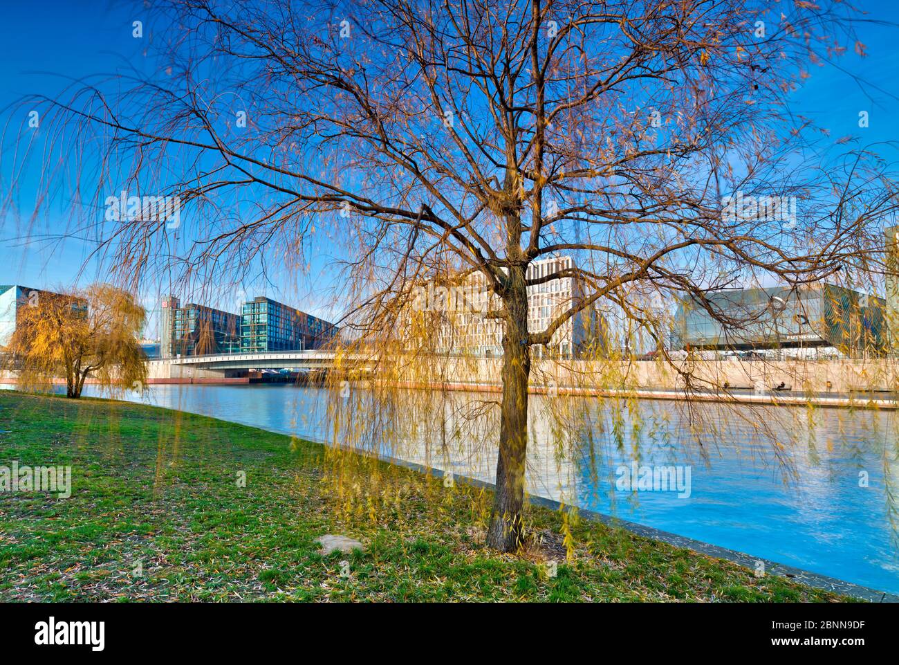 Vista sul fiume Sprea, Hauptbahnhof, futurium, colore delle foglie, Spreebogenpark, quartiere governativo, Berlino, Germania Foto Stock