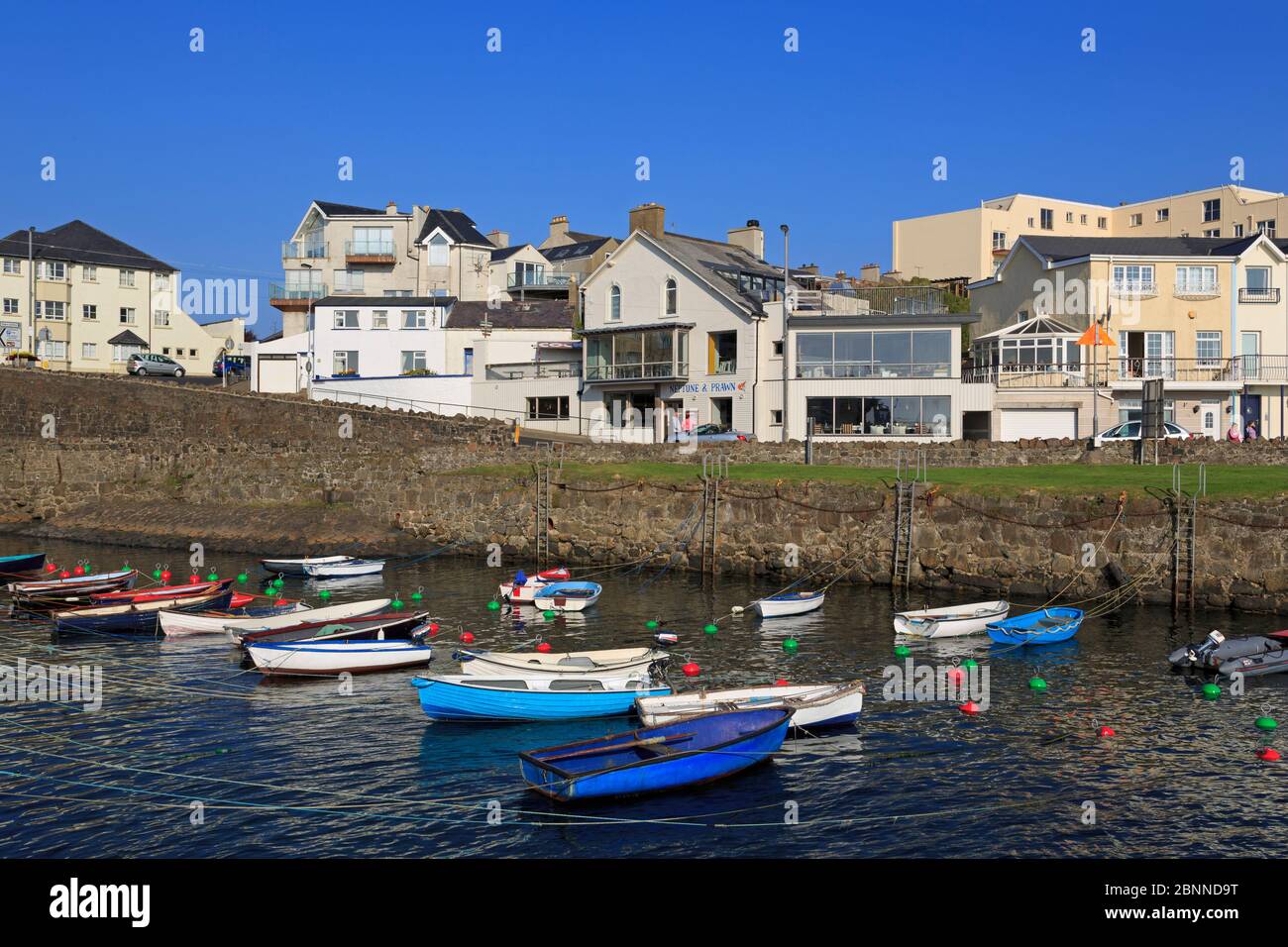 Porto, Portrush, County Antrim, Ulster (Irlanda del Nord Europa Foto Stock