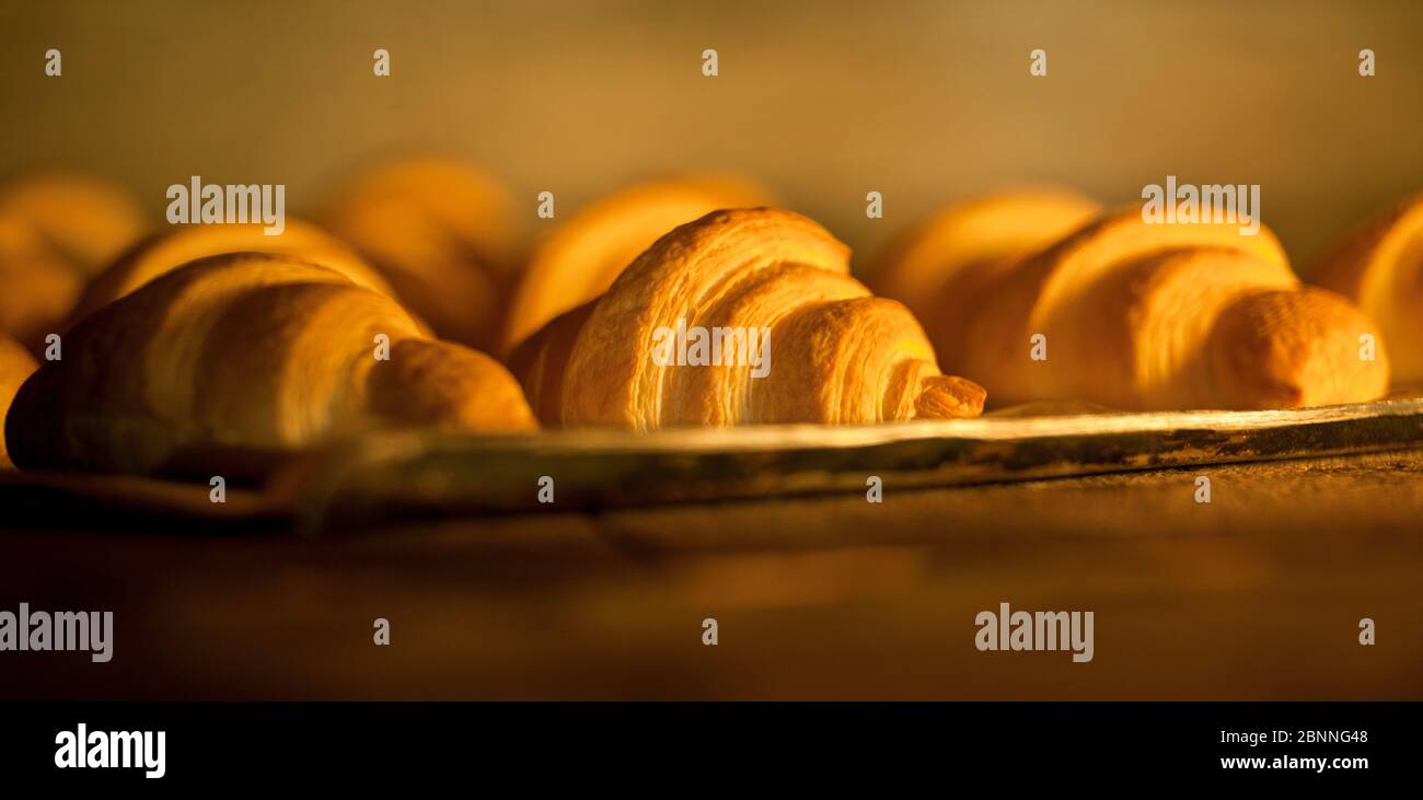 croissant in forno in una panetteria Foto Stock