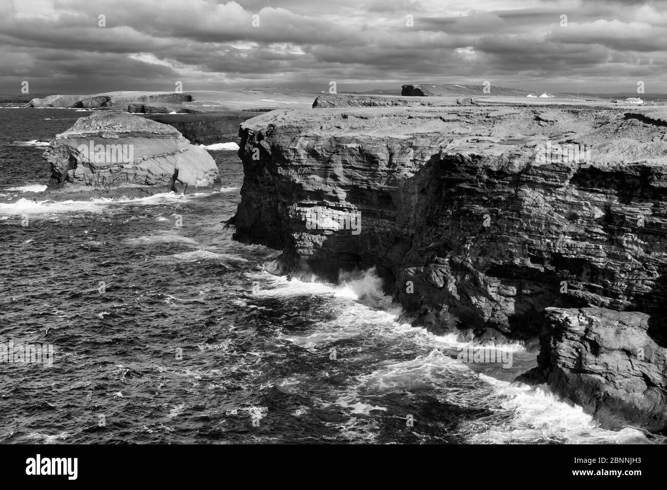 Scogliere sul Loop Head, Kilrush, County Clare, Irlanda, Europa Foto Stock