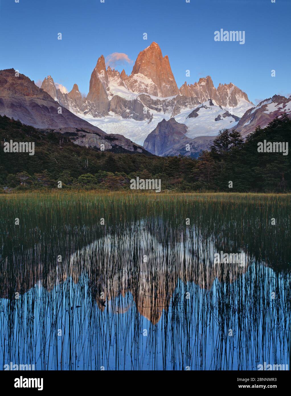 argentina, patagonia, monte fitzroy Foto Stock