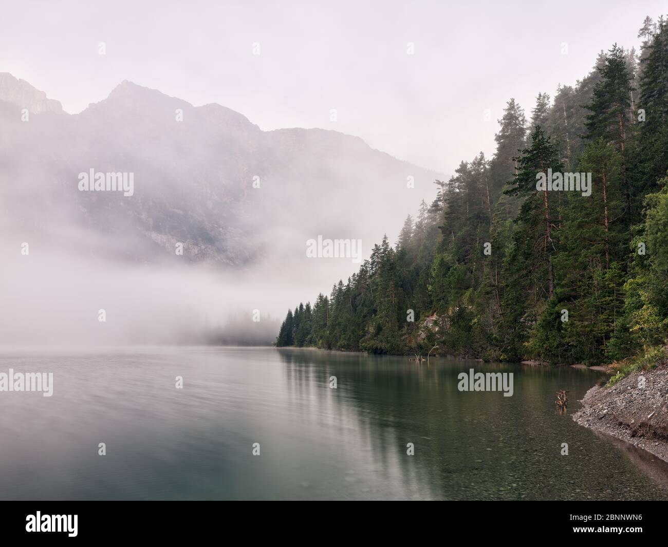 Lago, lungolago, alberi, nebbia, nebbia mattutina, umore autunnale, umore mattutino, fine estate, autunno Foto Stock