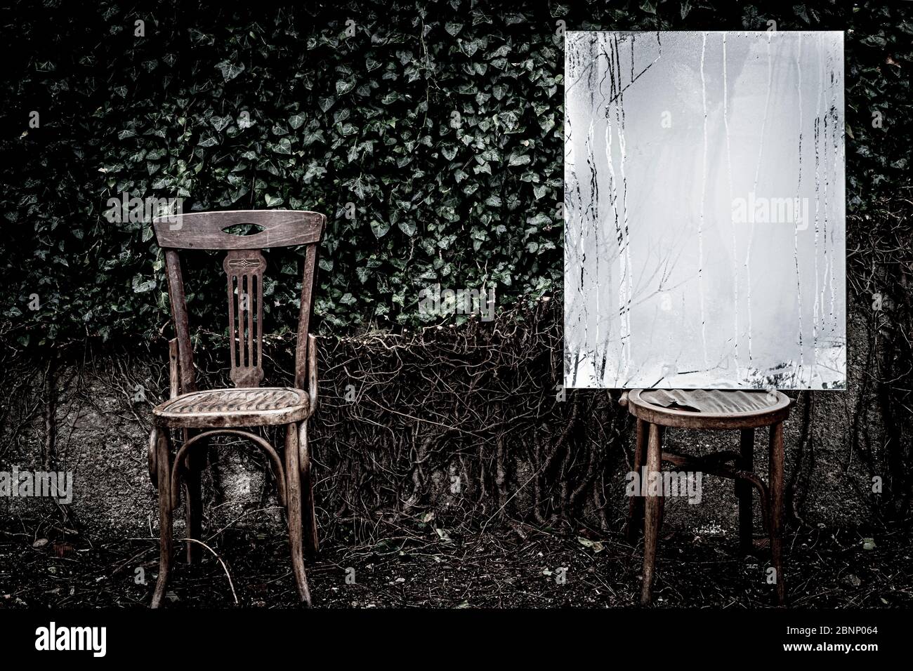Immagine poetica di riflessi in un giardino e in una foresta con una sedia  in legno in un'atmosfera di sogno Foto stock - Alamy