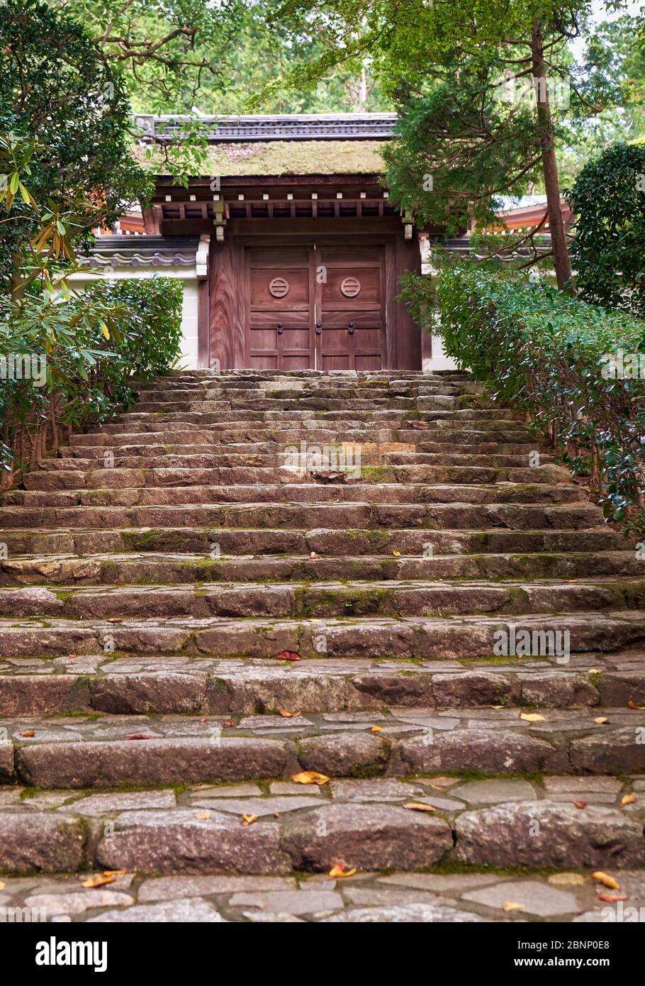 I gradini di pietra che conducono attraverso la foresta all'ingresso posteriore del tempio Ryoan-ji (Tempio del Drago alla Pace). Kyoto. Giappone Foto Stock
