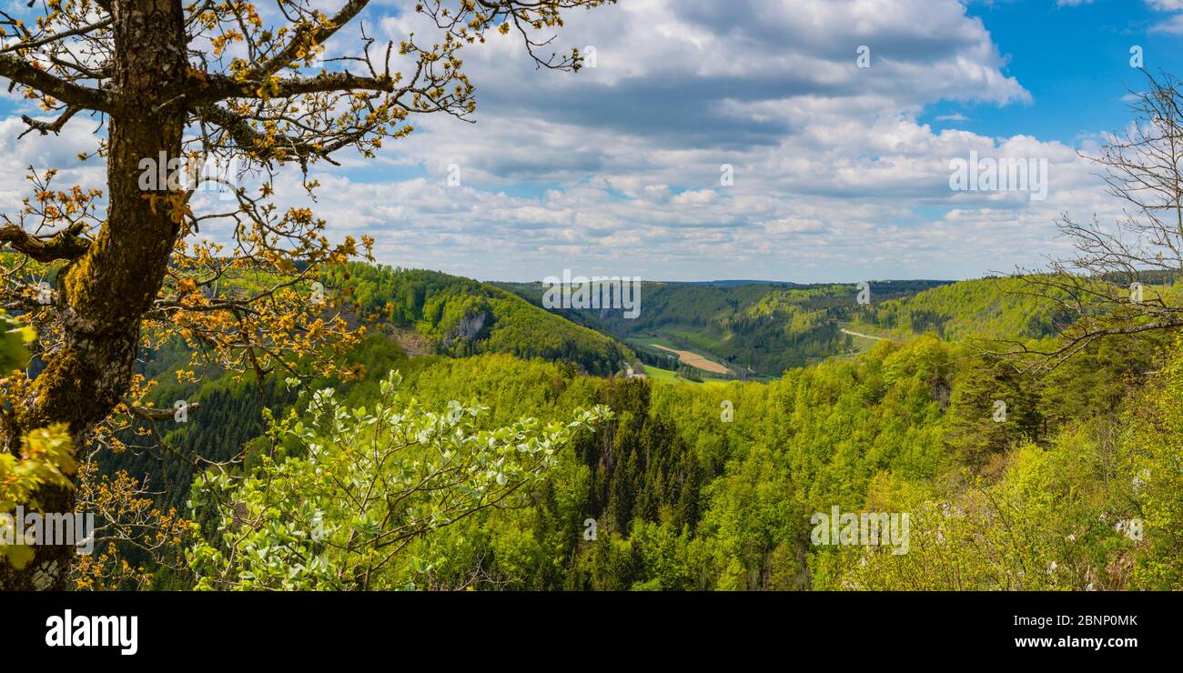 Panorama da Eichfelsen, Parco Naturale dell'Alto Danubio, Giura Svevo, Baden-Wuerttemberg, Germania, Europa Foto Stock