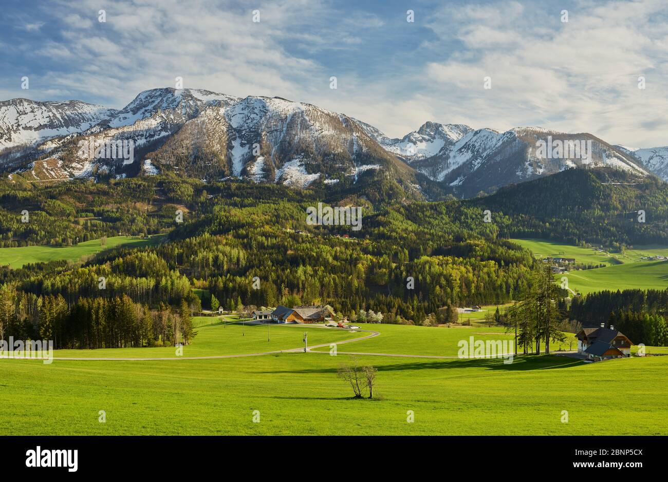 Warscheneck, Totes Gebirge, Vorderstoder, Alpi calcaree settentrionali, Austria superiore, Austria Foto Stock