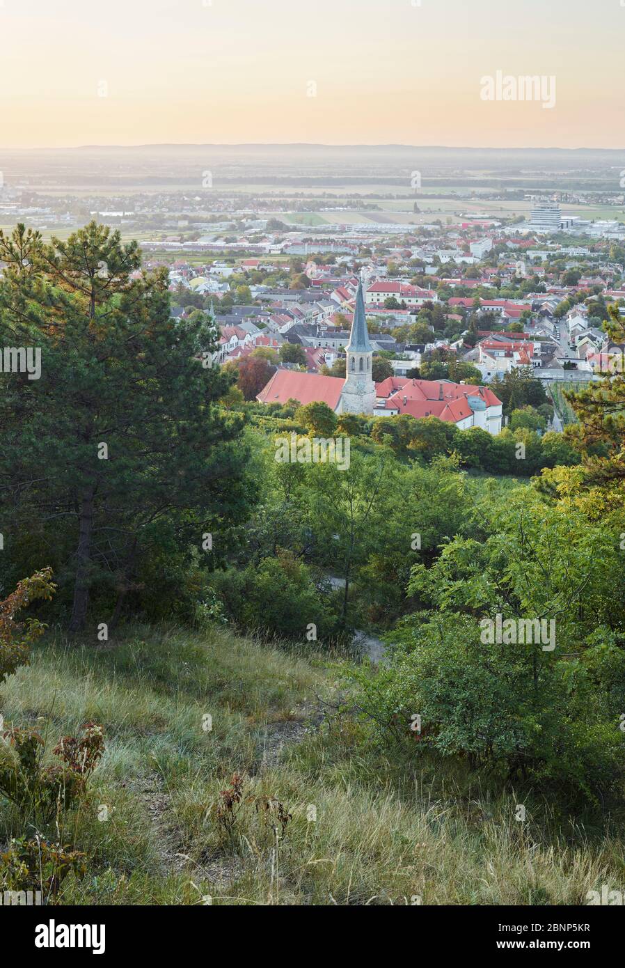 Vista di Gumpoldskirchen, Chiesa di San Michele, regione termale, bassa Austria, Austria Foto Stock