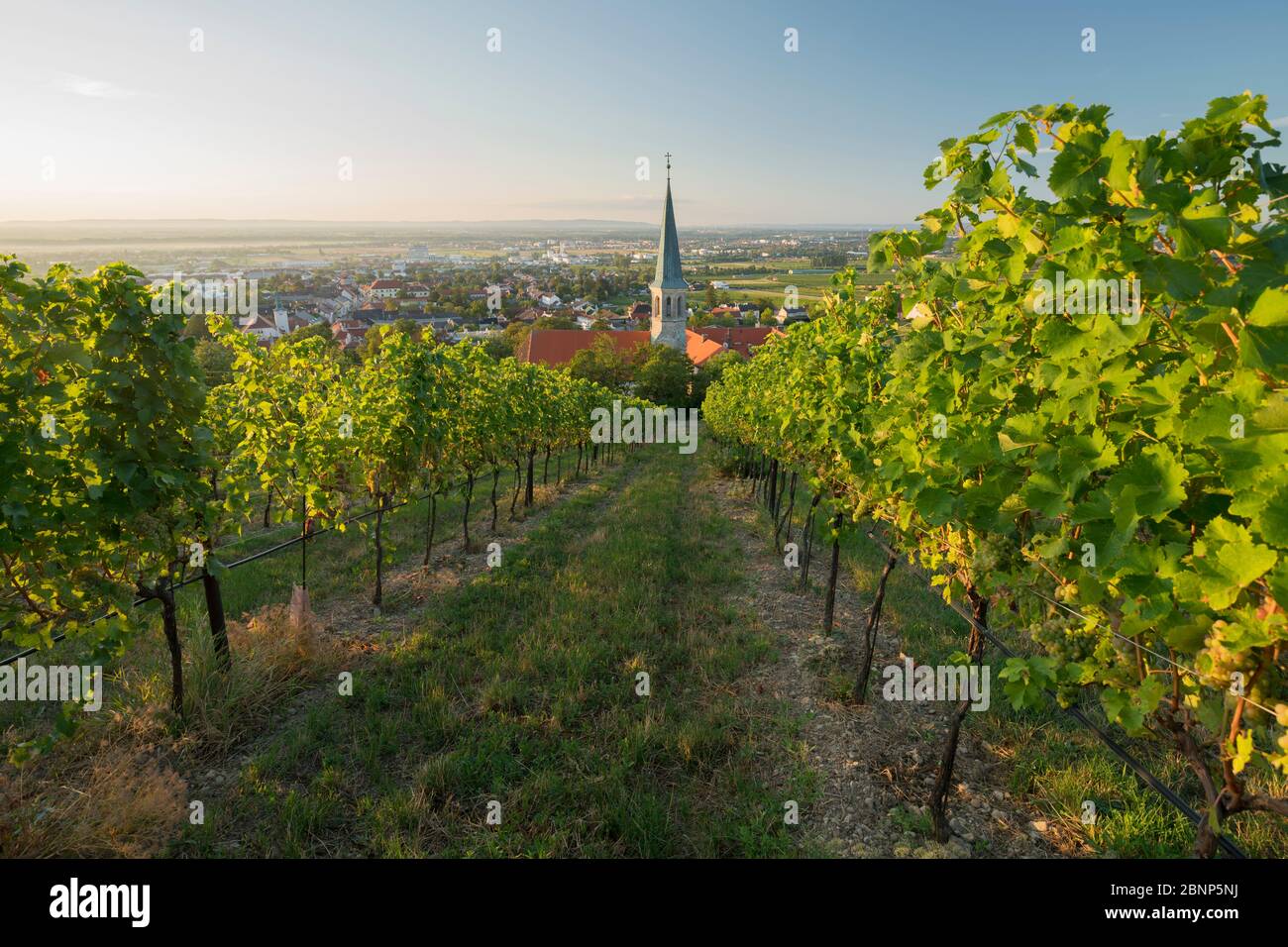 Vista di Gumpoldskirchen, Chiesa di San Michele, regione termale, bassa Austria, Austria Foto Stock