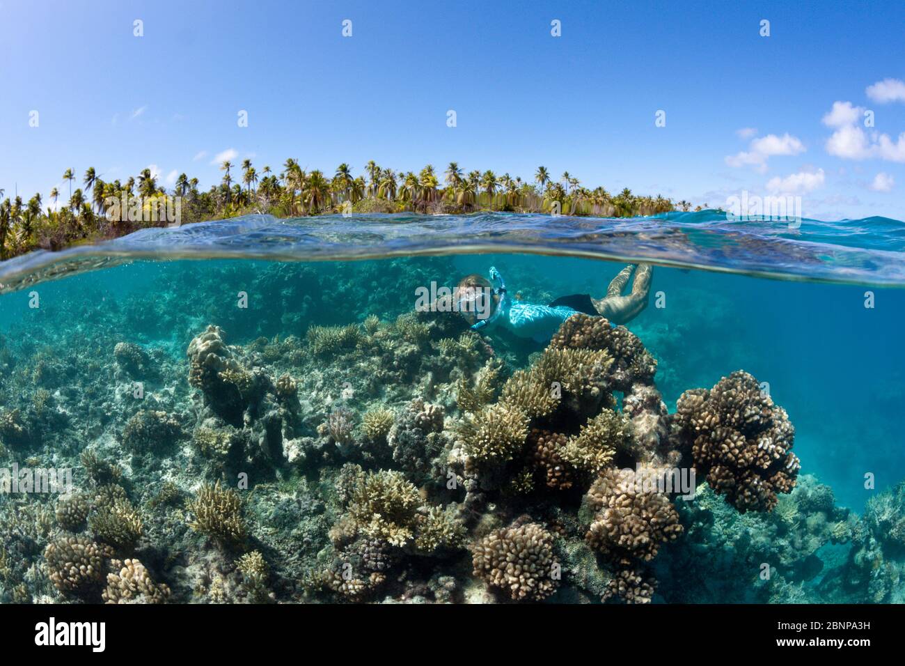 Snorkeling In Polinesia Francese, Atollo Di Apataki, Tuamotu Archipel, Polinesia Francese Foto Stock