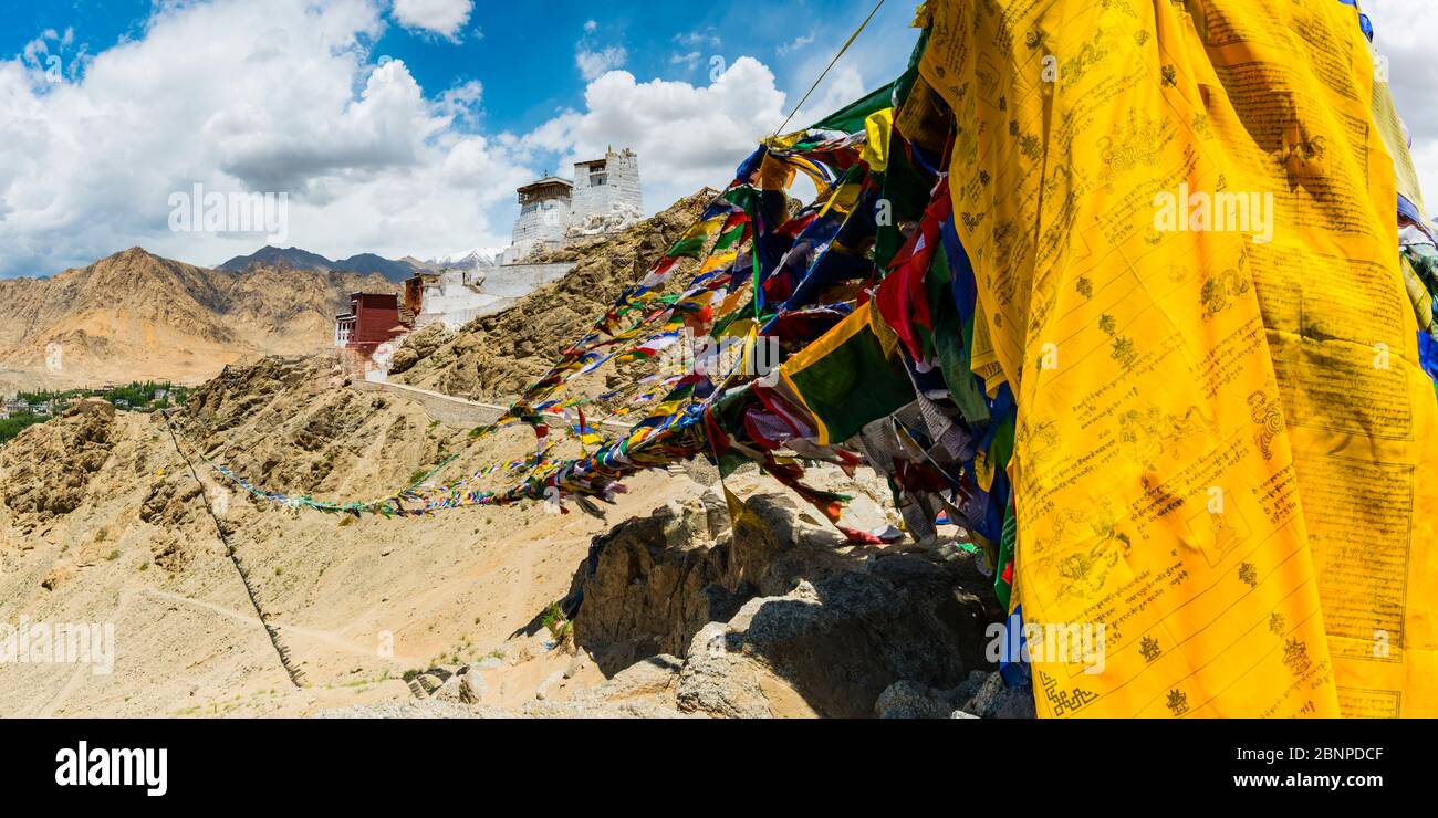 Il monastero di Namgyal Tsemo Gompa, la collina di Tsenmo, Leh, Ladakh, Jammu e Kashmir, India, Asia Foto Stock