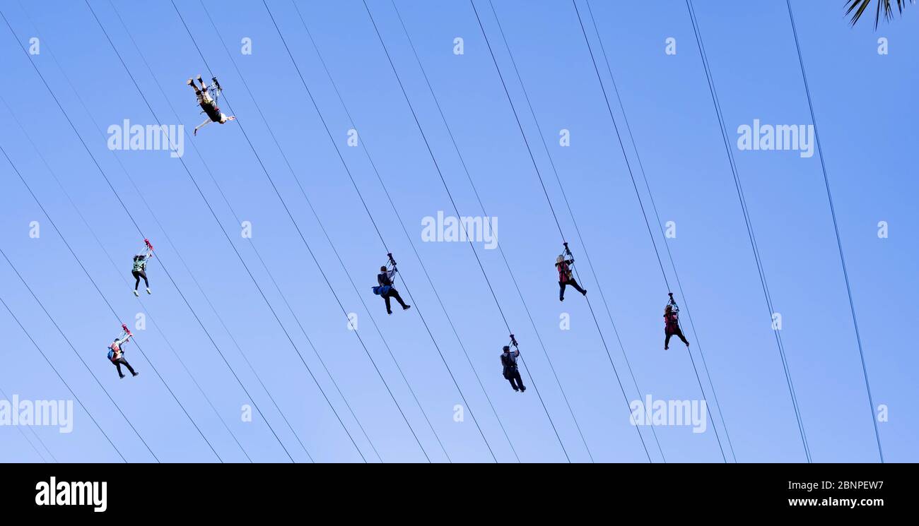 I turisti che si godono la FlyLinq Zipline a Las Vegas Strip, Las Vegas Nevada USA, 30 marzo 2020 Foto Stock