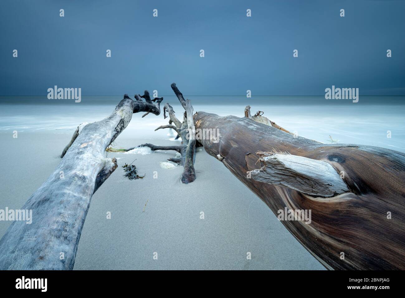 Alberi sradicati sulla spiaggia del Mar Baltico, nuvole scure, lunga esposizione, penisola di Fischland-Darß-Zingst, Parco Nazionale di Vorpommersche Boddenlandschaft, Meclemburgo-Pomerania occidentale, Germania Foto Stock