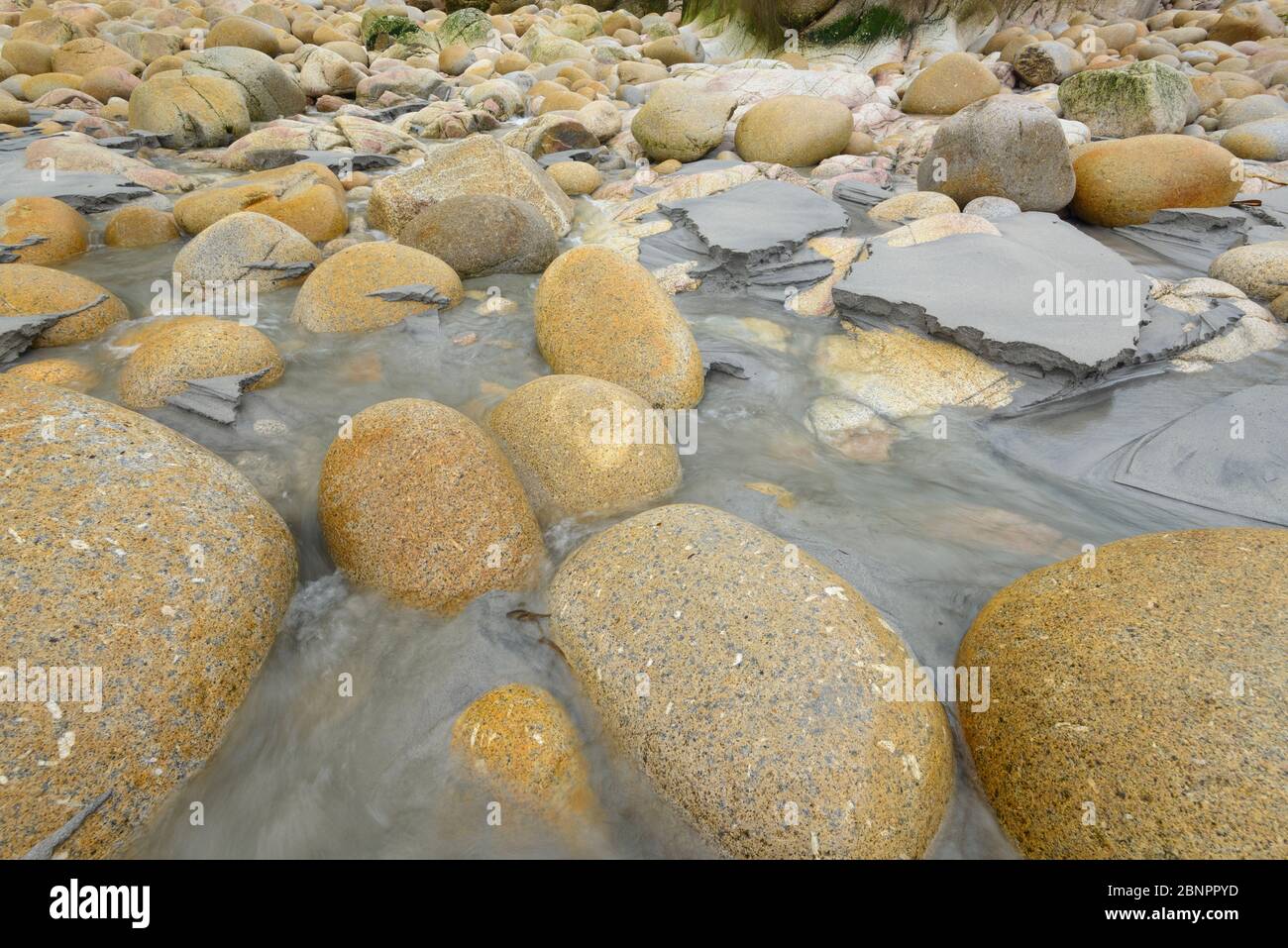 Baia rocciosa con massi, Porth Nanven, Penzance, Cornovaglia, Inghilterra sud-occidentale, Inghilterra, Regno Unito, Europa Foto Stock