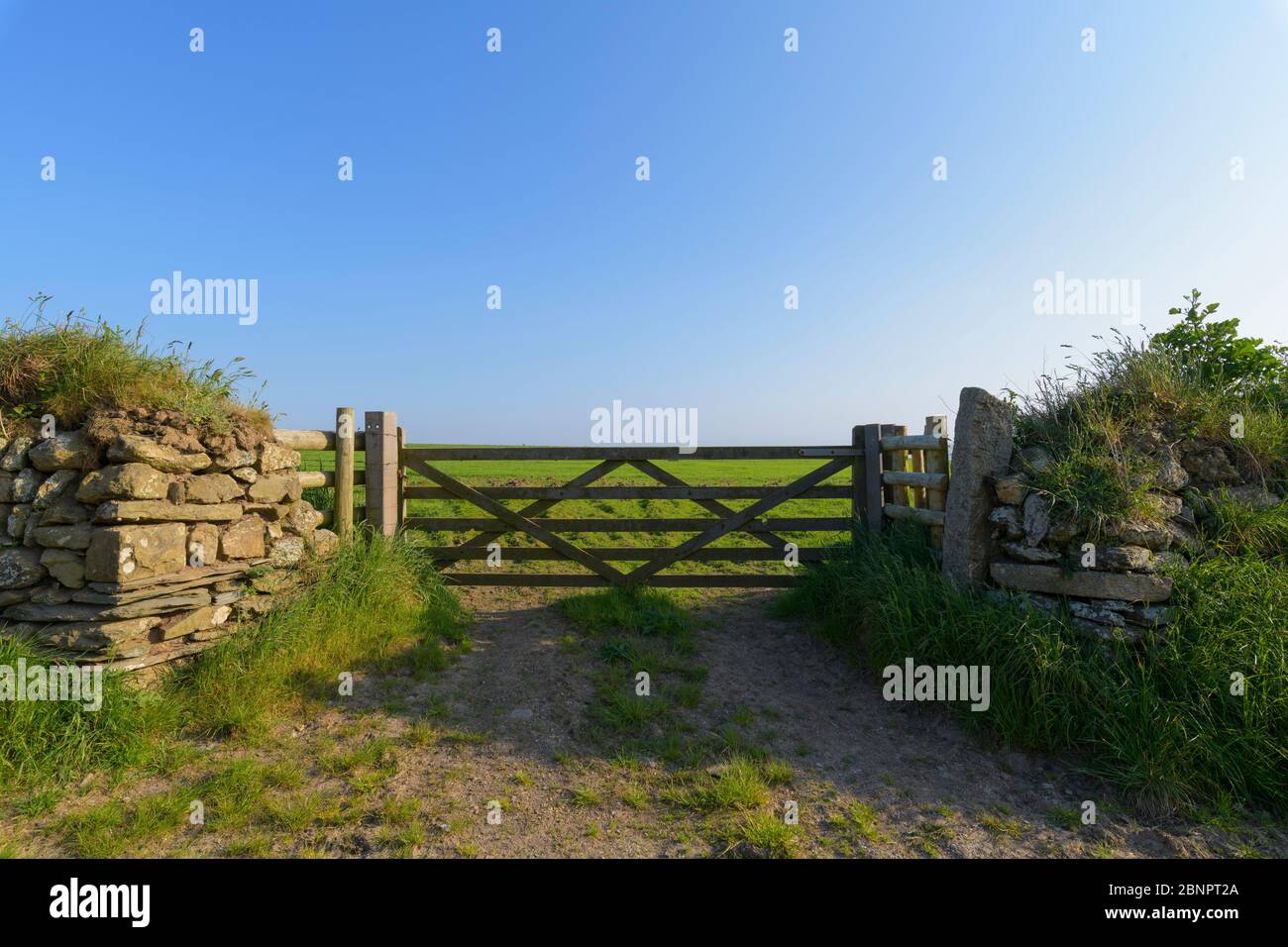 Porta d'ingresso a Pasture, The Rumps, Pentireglaze, Wadebridge, Cornovaglia, Inghilterra sud-occidentale, Inghilterra, Regno Unito, Europa Foto Stock