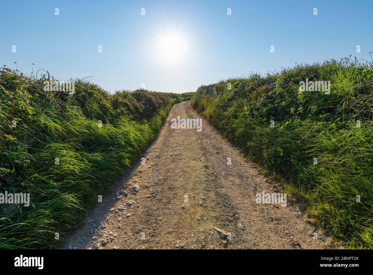 Sentiero per la costa, le Rumps, Pentireglaze, Wadebridge, Cornovaglia, Inghilterra sud-occidentale, Inghilterra, Regno Unito, Europa Foto Stock