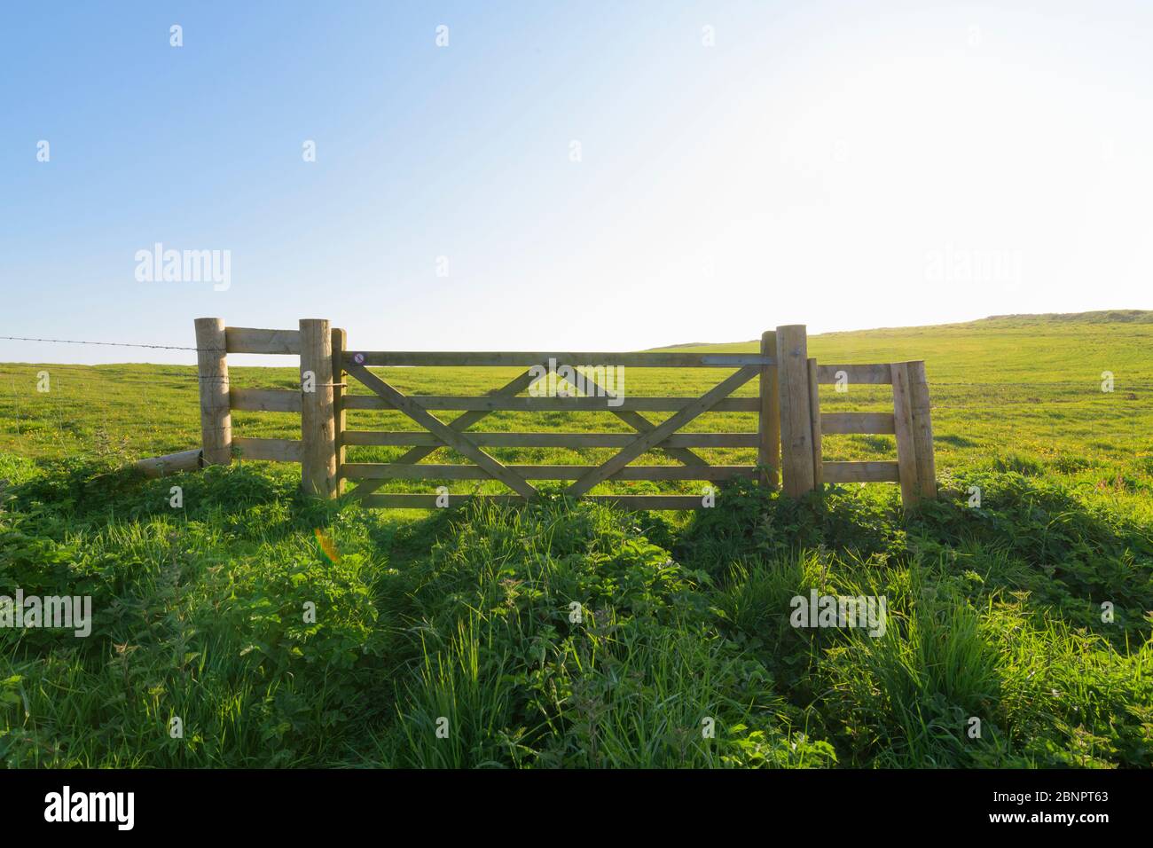 The Rumps, Pentireglaze, Wadebridge, Cornovaglia, Inghilterra sud-occidentale, Inghilterra, Regno Unito, Europa Foto Stock