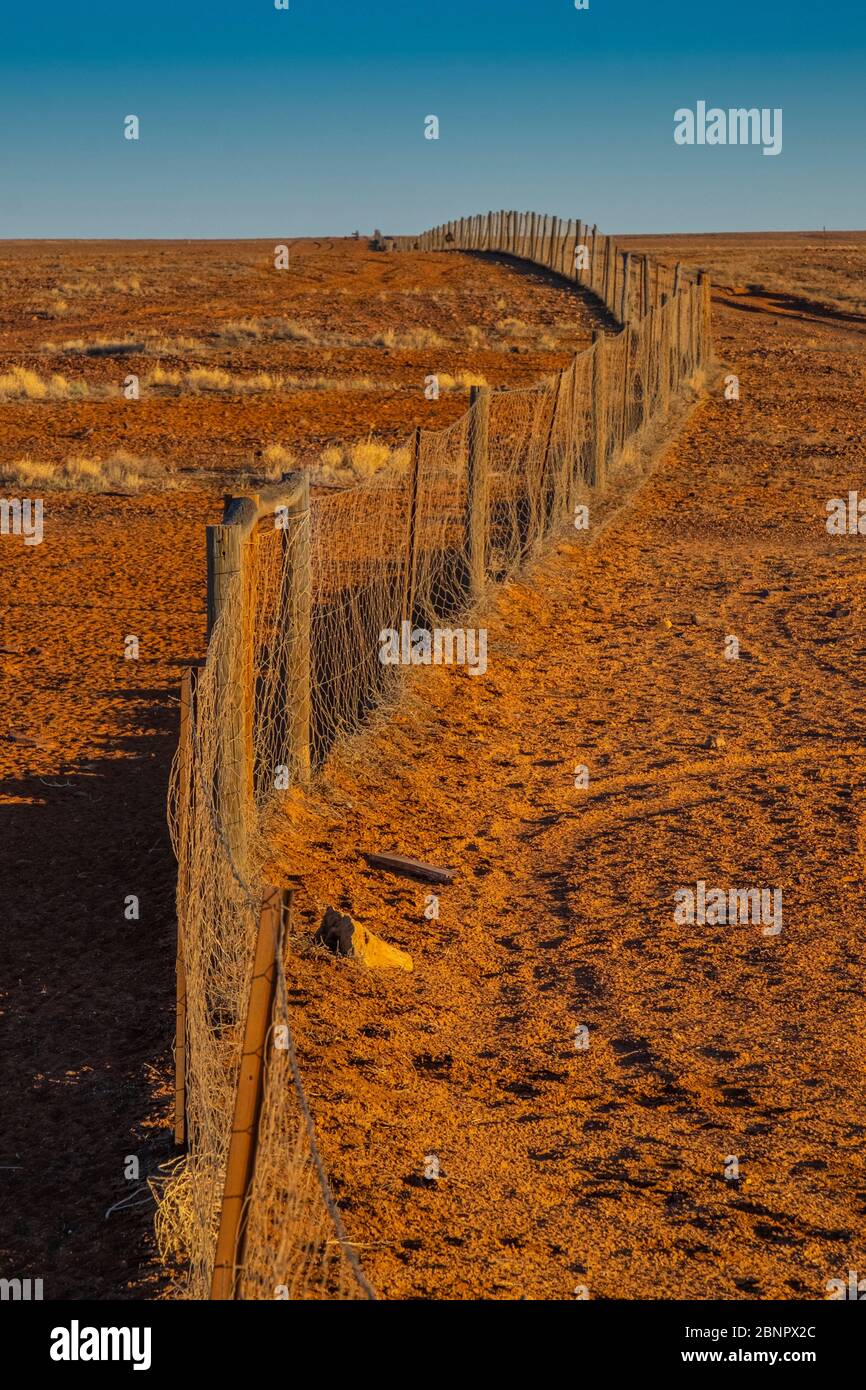 Ammira la famosa Dingo Fence o Dog Fence a Coober Pedy, South Australia, Outback. Foto Stock