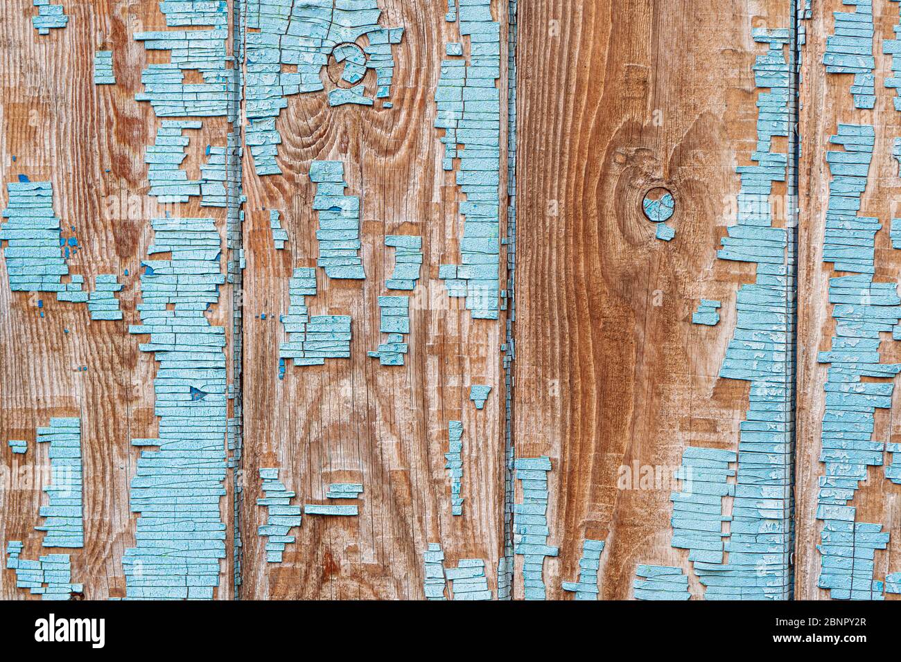 Chiusura su pannelli di legno blu della recinzione primo piano. Peeling vecchia vernice su una recinzione di legno. Foto Stock