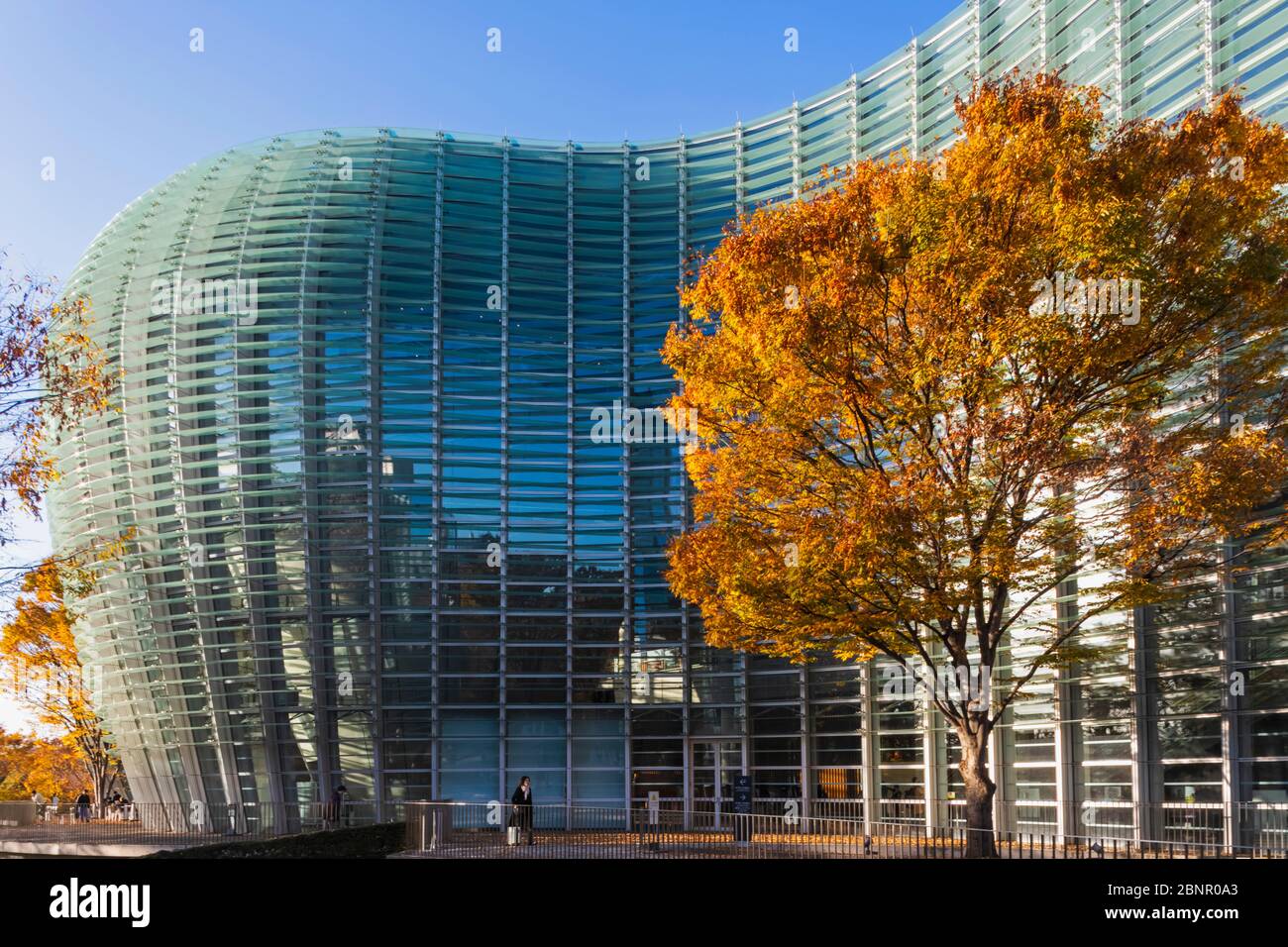 Giappone, Honshu, Tokyo, Roppongi, Il Centro Nazionale D'Arte Di Tokyo Foto Stock