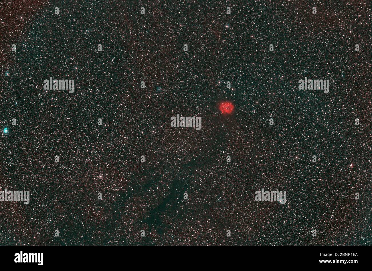 IC 5146 Cocoon Nebula in Cignus e nebulosa scura Barnard 168 fotografato a Narrowband Hydrogen Alpha e OIII da Londra, Regno Unito Foto Stock