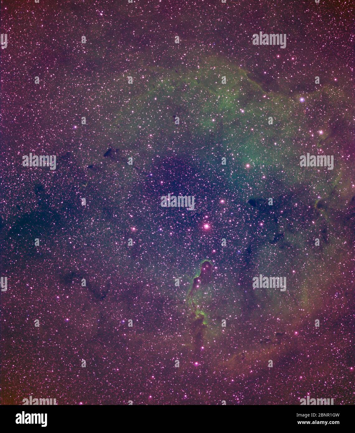 La Trunk Nebula VDB 142 dell’Elefante in IC1396, 2400 anni luce dal pianeta Terra, fotografata in banda stretta Foto Stock