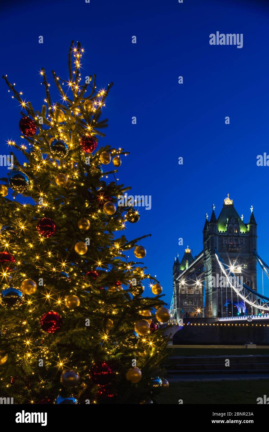 Inghilterra, Londra, Tower Bridge Di Notte E Christmas Tree Lights Foto Stock